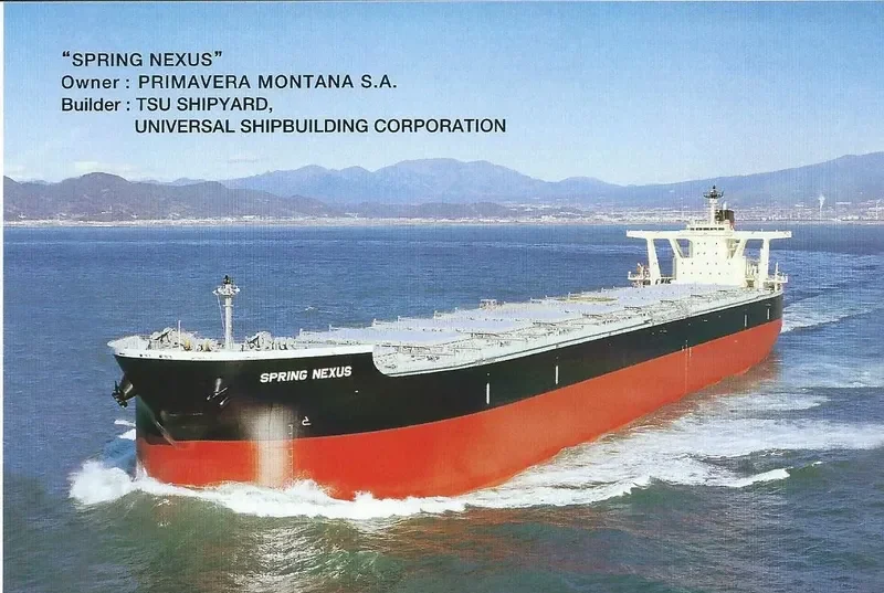 SPRING NEXUS Bulk Carrier IMO 9595400 photo 4