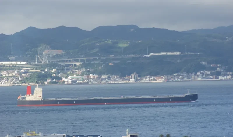 AZUL HORIZONTE Bulk Carrier IMO 9595412 photo 2