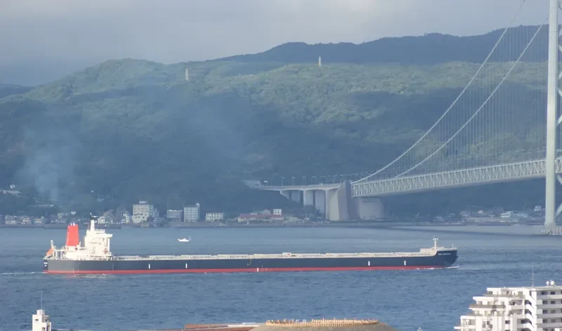 AZUL HORIZONTE Bulk Carrier IMO 9595412 photo 3
