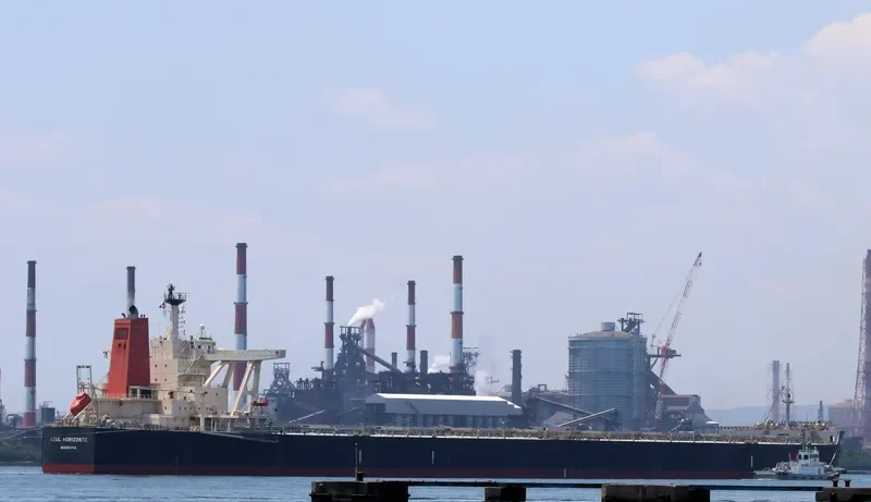 AZUL HORIZONTE Bulk Carrier IMO 9595412 photo 4
