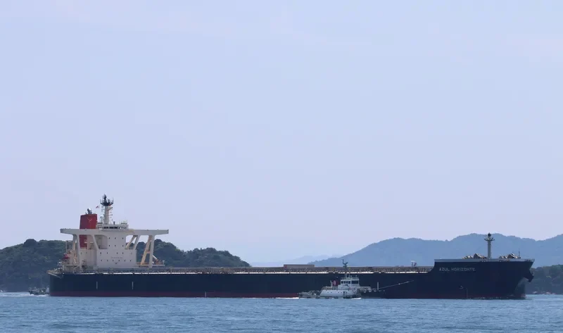 AZUL HORIZONTE Bulk Carrier IMO 9595412 photo 5