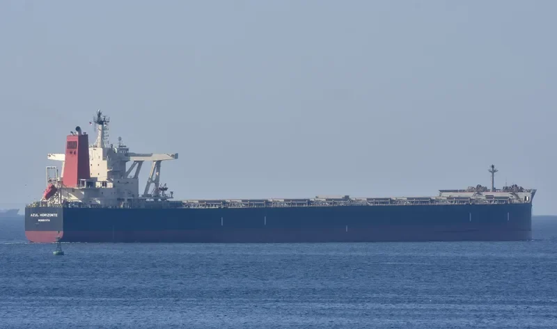 AZUL HORIZONTE Bulk Carrier IMO 9595412 photo 6