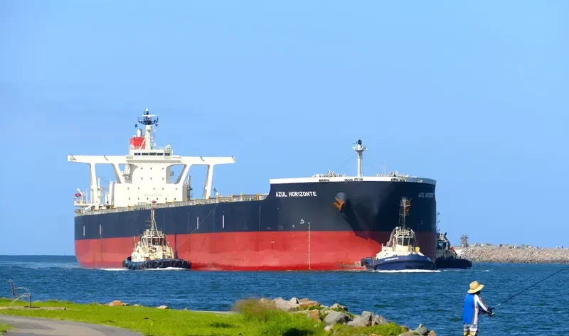 AZUL HORIZONTE Bulk Carrier IMO 9595412 photo 7