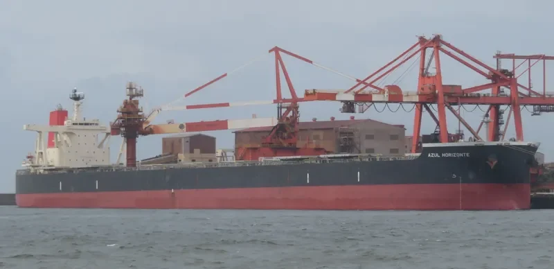 AZUL HORIZONTE Bulk Carrier IMO 9595412 photo 8