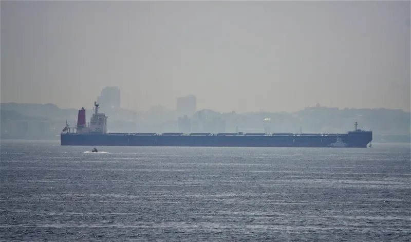 AZUL HORIZONTE Bulk Carrier IMO 9595412 photo 9