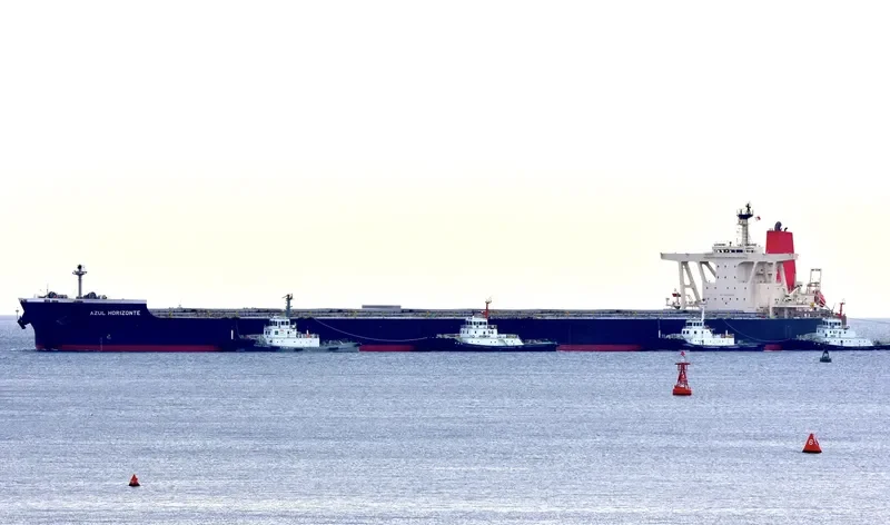 AZUL HORIZONTE Bulk Carrier IMO 9595412 photo 10