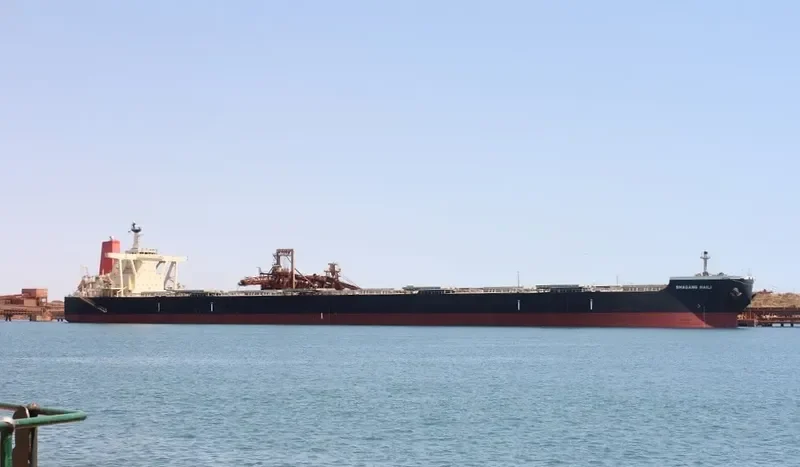 SHAGANG HAILI Bulk Carrier IMO 9595424