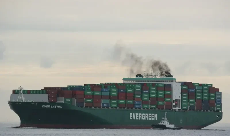 EVER LASTING Container Ship IMO 9595450