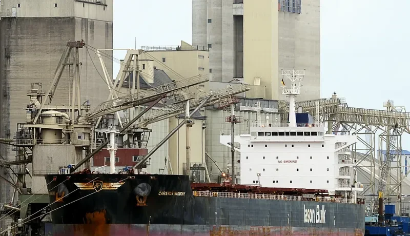 CARAVOS HARMONY Bulk Carrier IMO 9595589