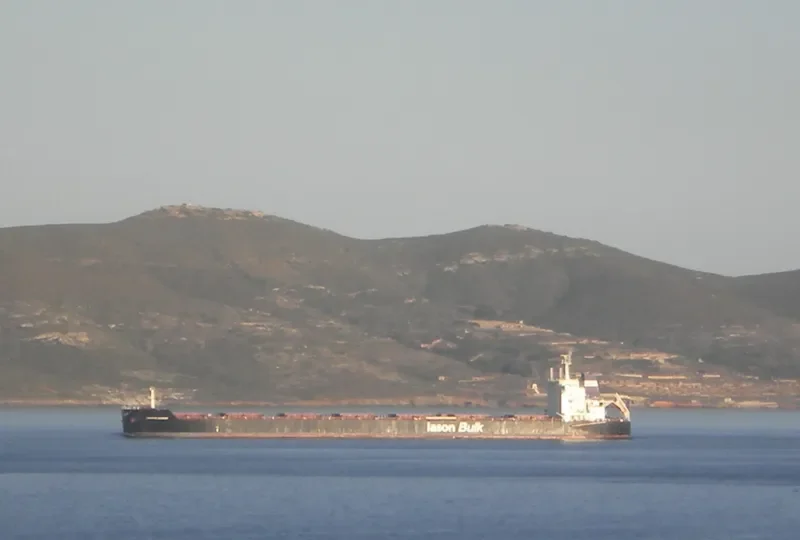 CARAVOS HARMONY Bulk Carrier IMO 9595589 photo 2