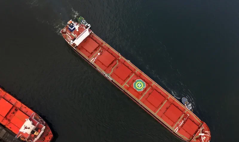CARAVOS HARMONY Bulk Carrier IMO 9595589 photo 5