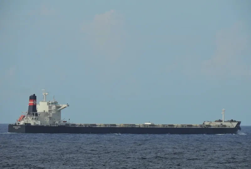 SHAGANG HONGFA Bulk Carrier IMO 9595591 photo 2