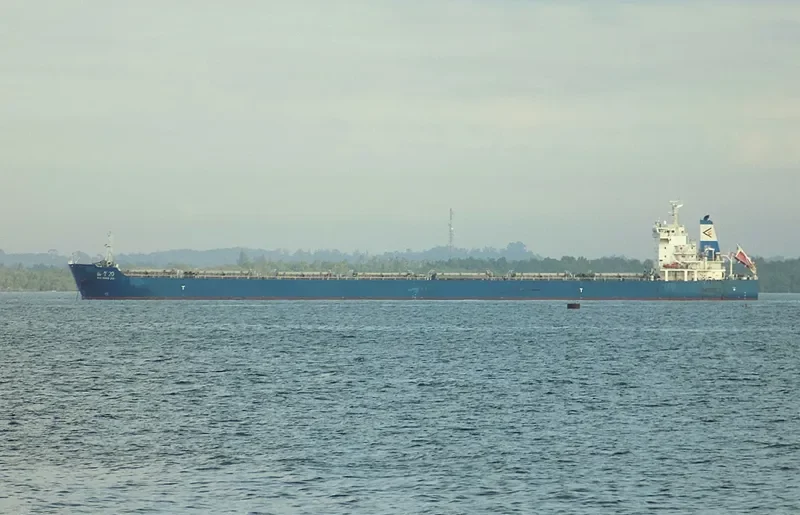 RUI NING 20 Bulk Carrier IMO 9595682