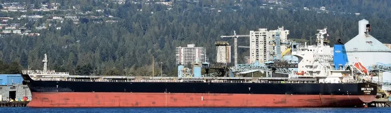 GREAT WEALTH Bulk Carrier IMO 9595709