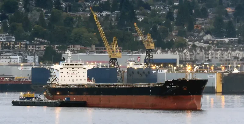 GREAT WEALTH Bulk Carrier IMO 9595709 photo 3