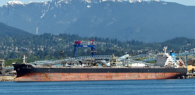 GREAT WEALTH Bulk Carrier IMO 9595709 photo 5