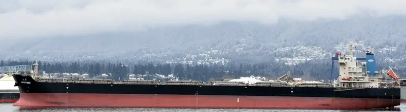 GREAT RICH Bulk Carrier IMO 9595711 photo 3