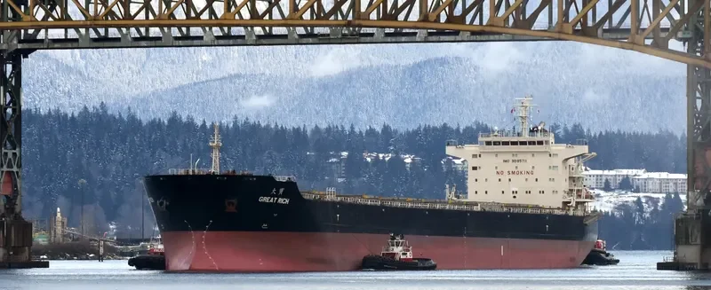 GREAT RICH Bulk Carrier IMO 9595711 photo 4