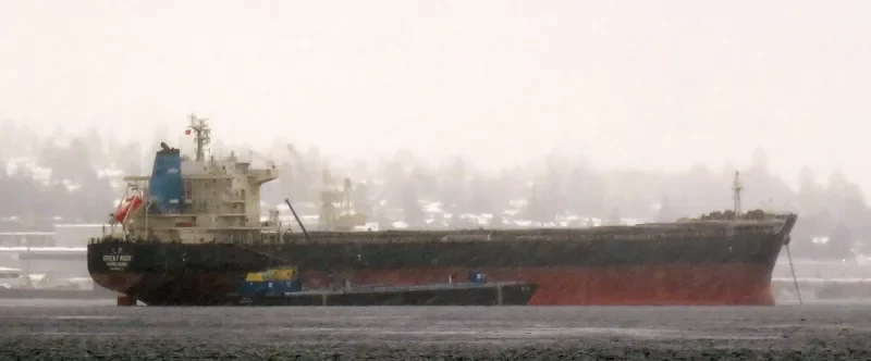 GREAT RICH Bulk Carrier IMO 9595711 photo 6