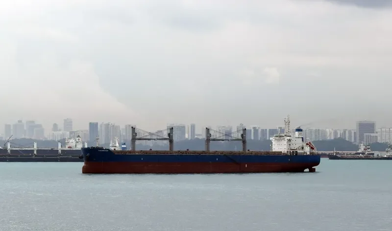 THEOMETOR Bulk Carrier IMO 9595759