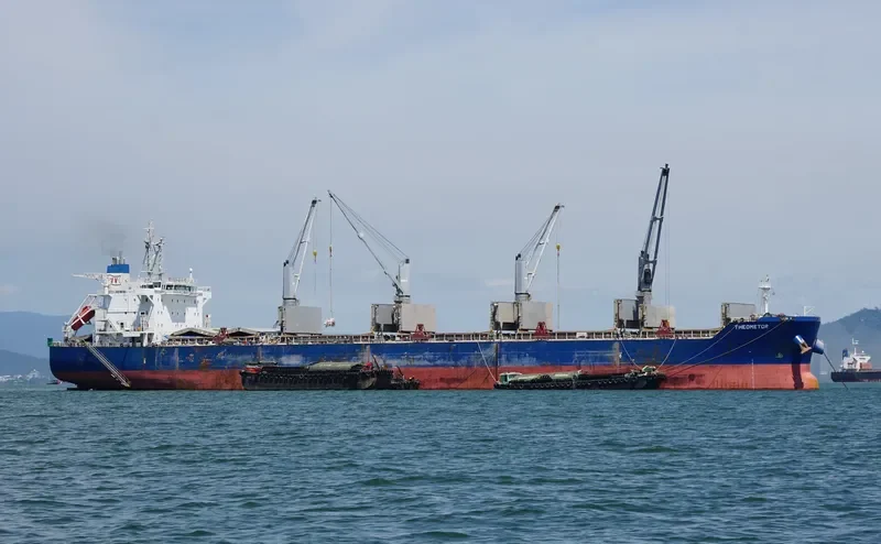 THEOMETOR Bulk Carrier IMO 9595759 photo 3