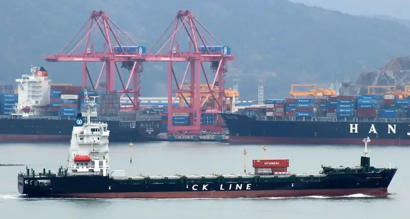 SKY FLOWER Container Ship IMO 9595802 photo 3