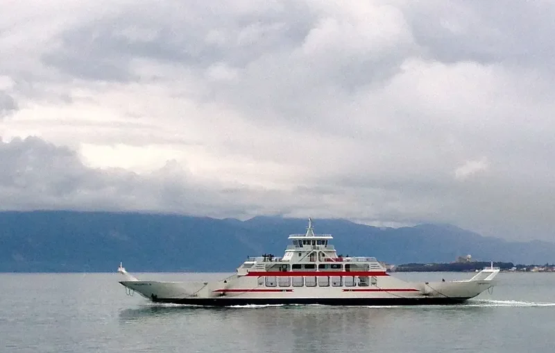 DORIVAL CAYMMI Ro-Ro IMO 9595838 photo 5