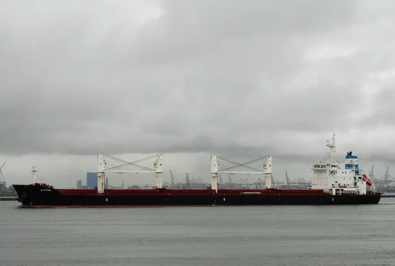 ALITHIA Bulk Carrier IMO 9595840