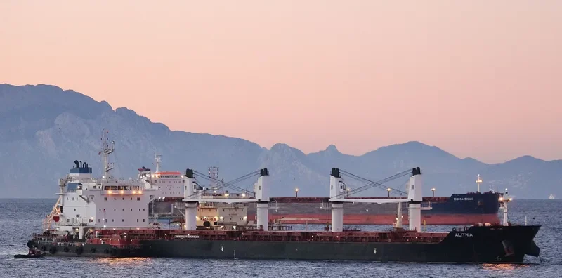ALITHIA Bulk Carrier IMO 9595840 photo 8