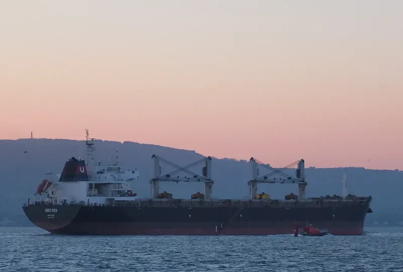 UNICORN Bulk Carrier IMO 9595931 photo 2
