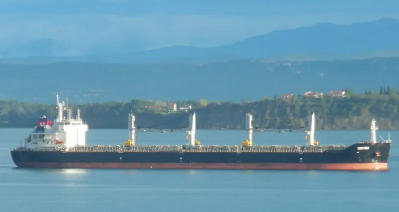 UNICORN Bulk Carrier IMO 9595931 photo 3