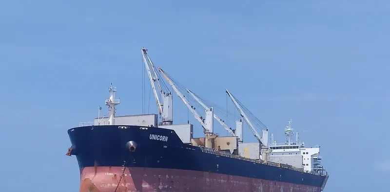 UNICORN Bulk Carrier IMO 9595931 photo 4