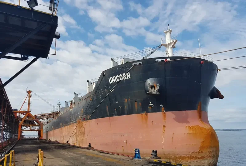 UNICORN Bulk Carrier IMO 9595931 photo 5