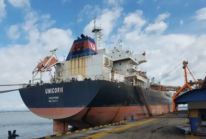 UNICORN Bulk Carrier IMO 9595931 photo 6