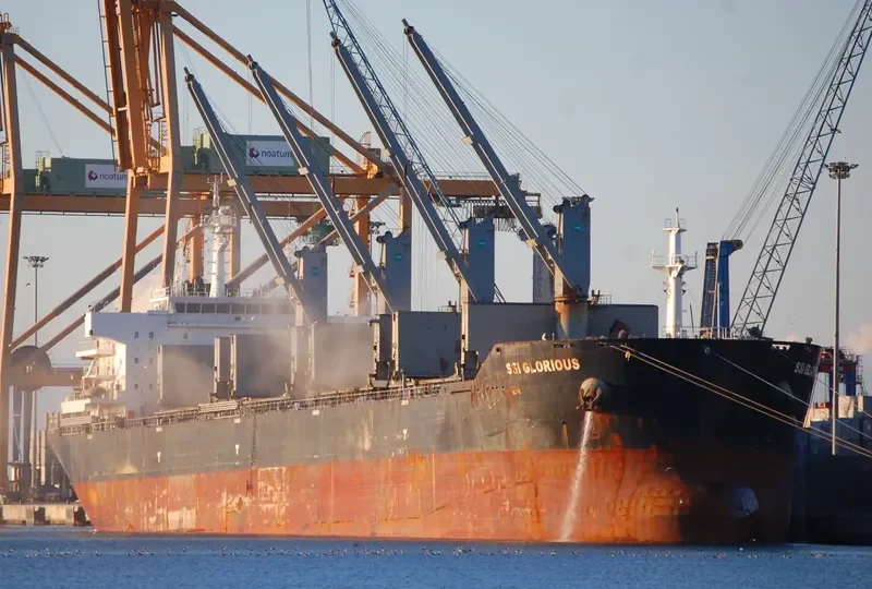 SSI GLORIOUS Bulk Carrier IMO 9595955 photo 2