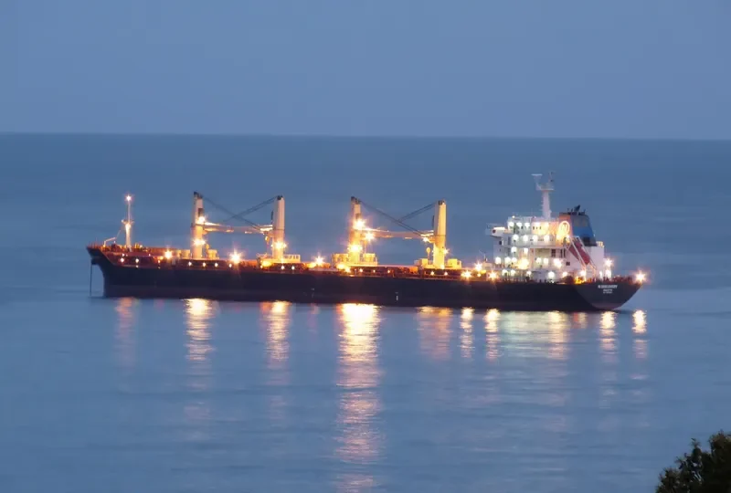 DISCOVERY Bulk Carrier IMO 9595967 photo 8