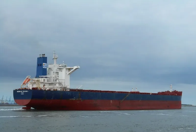WISDOM OF THE SEA 1 Bulk Carrier IMO 9596325
