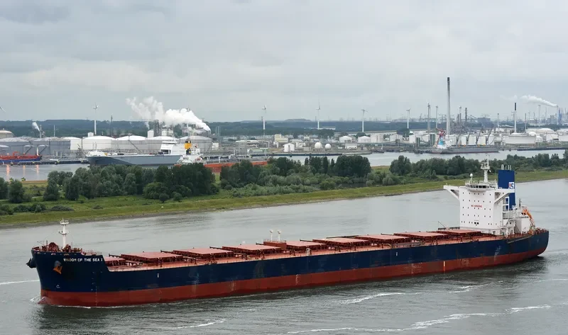 WISDOM OF THE SEA 1 Bulk Carrier IMO 9596325 photo 2