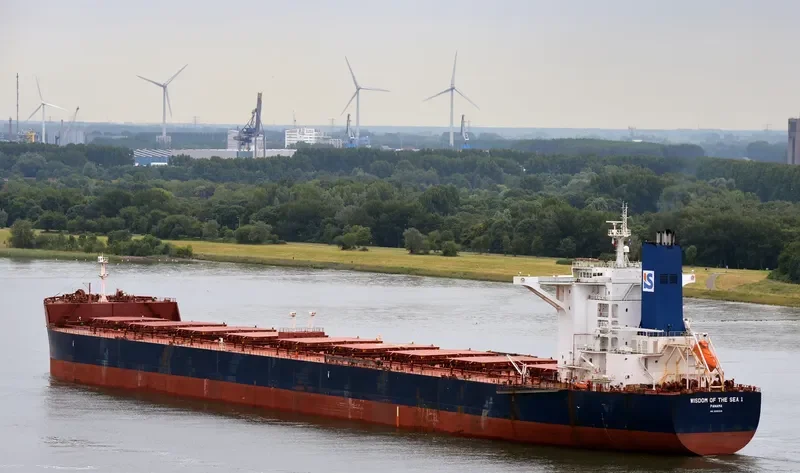 WISDOM OF THE SEA 1 Bulk Carrier IMO 9596325 photo 3