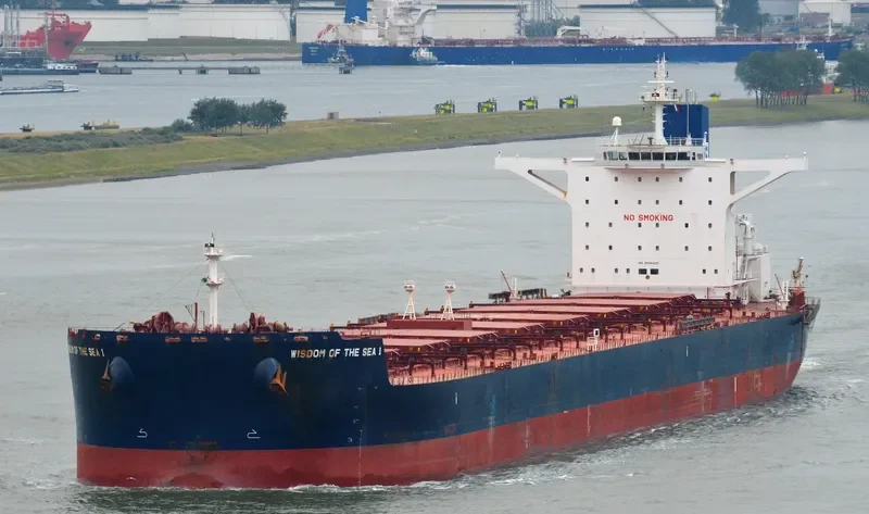 WISDOM OF THE SEA 1 Bulk Carrier IMO 9596325 photo 4