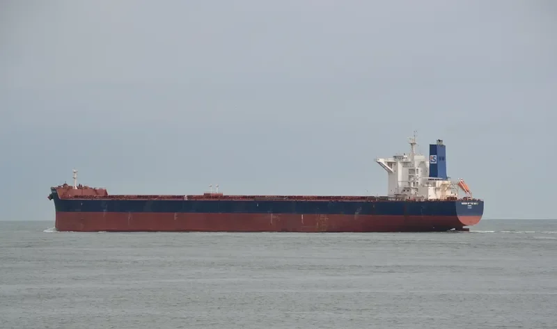 WISDOM OF THE SEA 1 Bulk Carrier IMO 9596325 photo 5