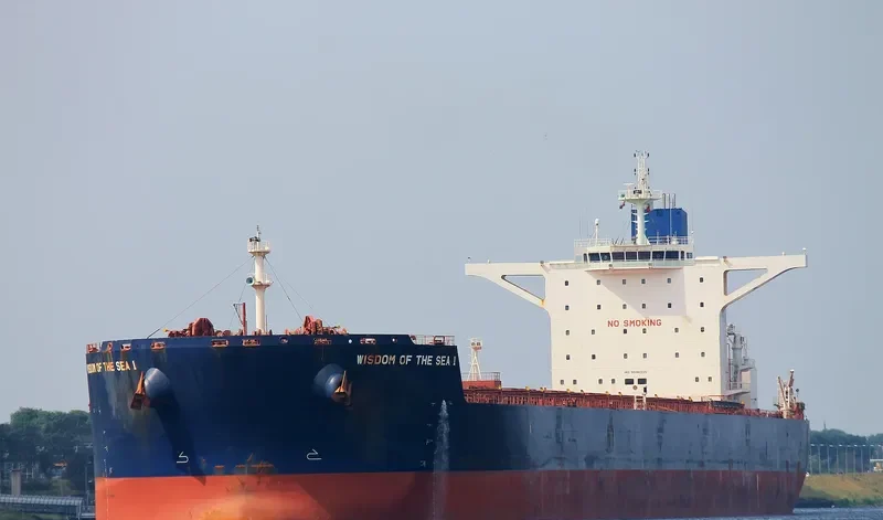 WISDOM OF THE SEA 1 Bulk Carrier IMO 9596325 photo 6