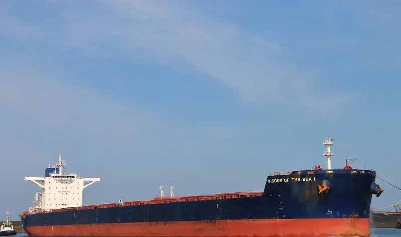 WISDOM OF THE SEA 1 Bulk Carrier IMO 9596325 photo 7