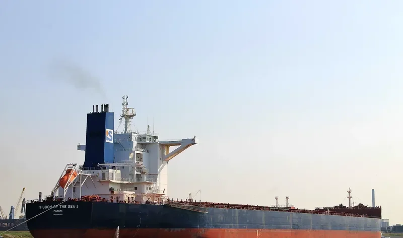 WISDOM OF THE SEA 1 Bulk Carrier IMO 9596325 photo 8
