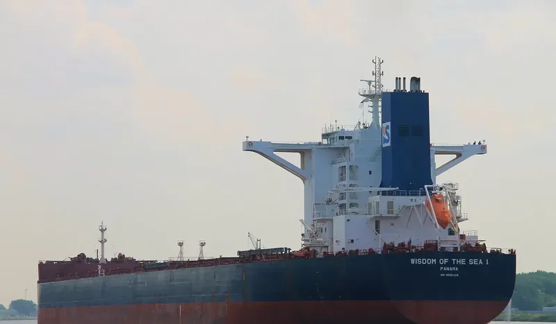 WISDOM OF THE SEA 1 Bulk Carrier IMO 9596325 photo 9