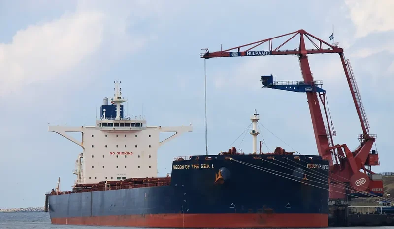 WISDOM OF THE SEA 1 Bulk Carrier IMO 9596325 photo 10