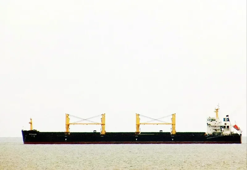 DATO LUCKY Bulk Carrier IMO 9596569 photo 3