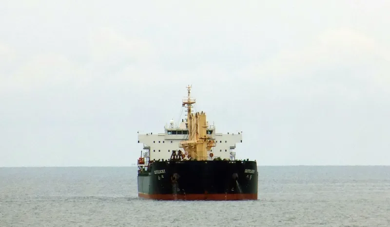 DATO LUCKY Bulk Carrier IMO 9596569 photo 6