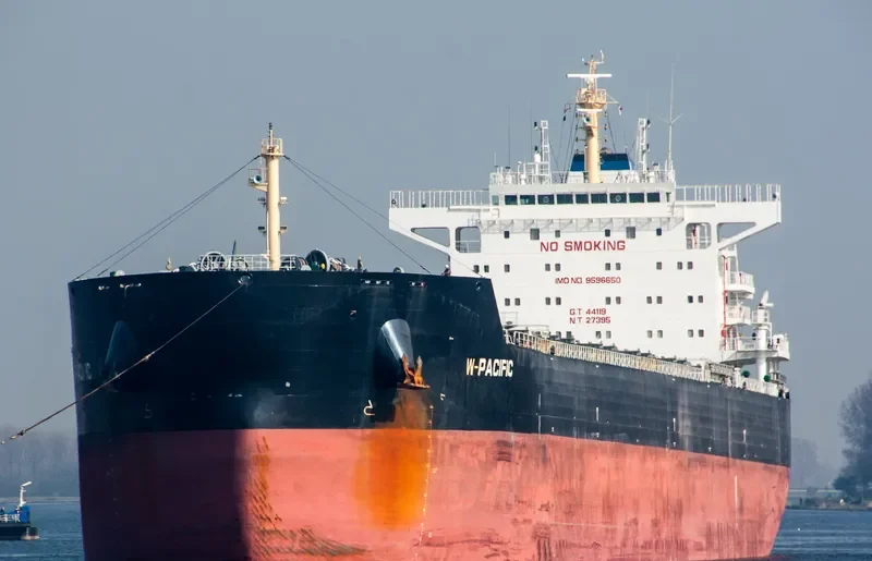 W PACIFIC Bulk Carrier IMO 9596650 photo 3