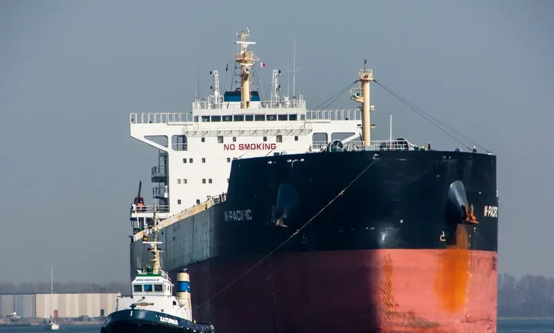 W PACIFIC Bulk Carrier IMO 9596650 photo 4